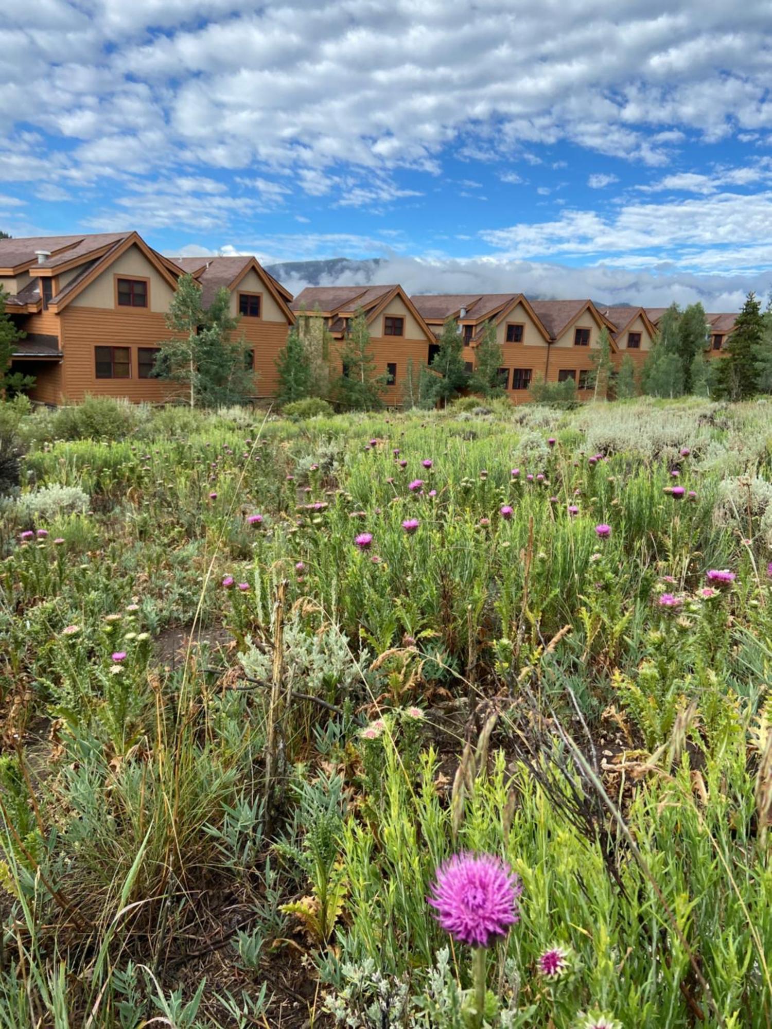 Antlers Gulch 303 By Summitcove Lodging Keystone Kültér fotó